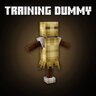 Training Dummy